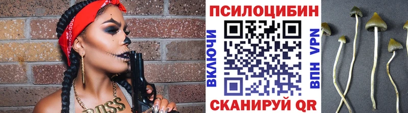 мега ссылка  Советский  Галлюциногенные грибы Magic Shrooms 